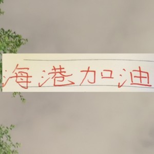 开云APP-海港也算是把政策用到极致！有五外援 有港澳台 还有归化球员